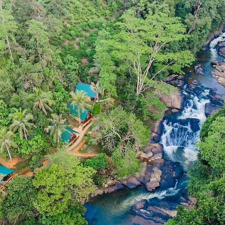 Hotel The Rainforest Hideaway Deniyaya Zewnętrze zdjęcie