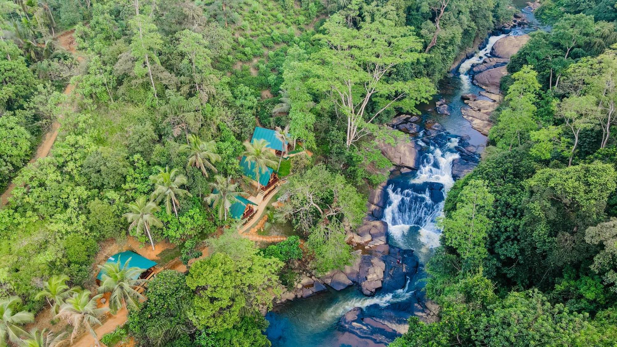 Hotel The Rainforest Hideaway Deniyaya Zewnętrze zdjęcie