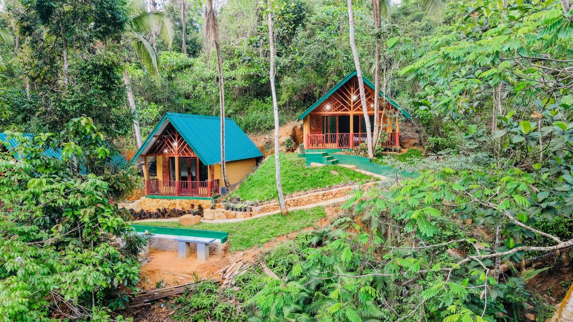 The Rainforest Hideaway Deniyaya Zewnętrze zdjęcie