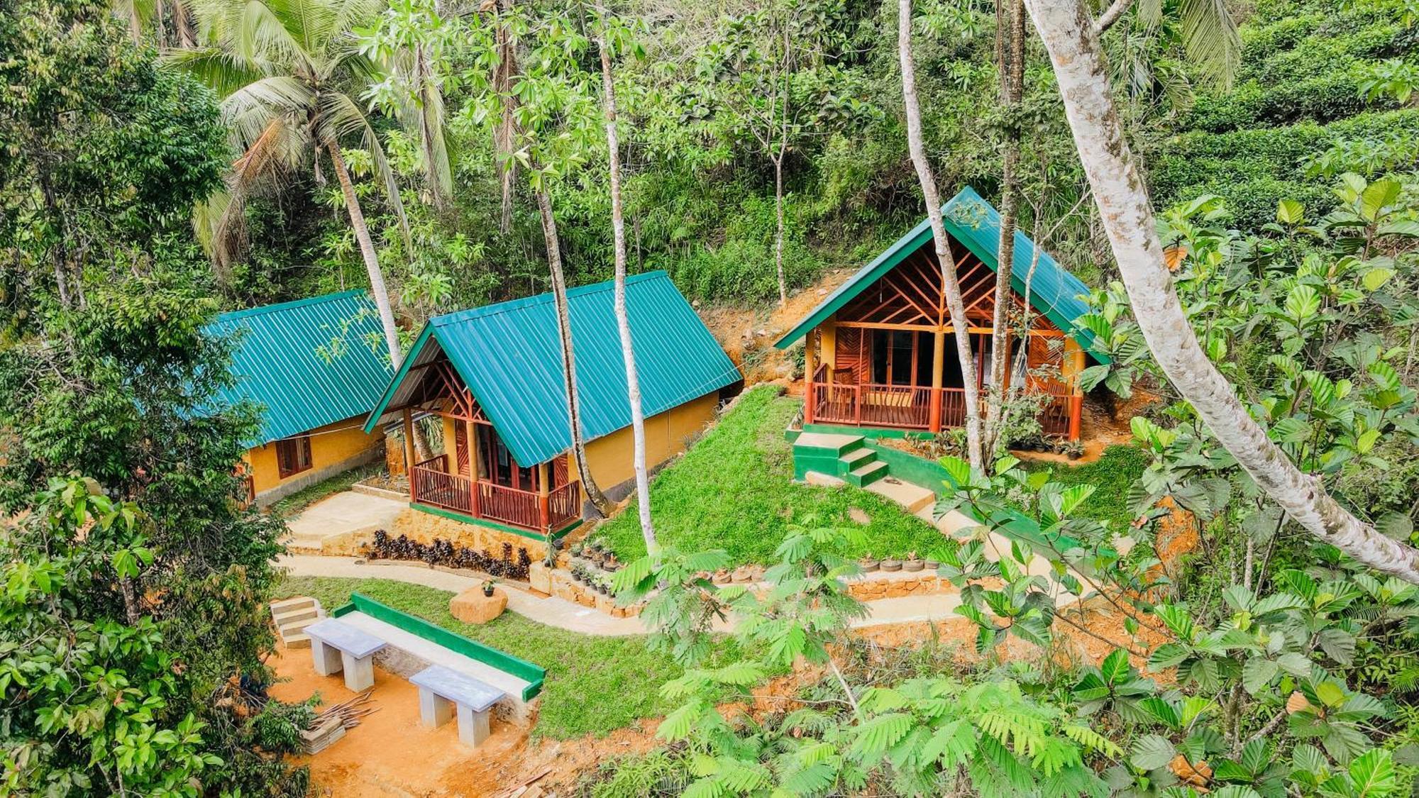 The Rainforest Hideaway Deniyaya Zewnętrze zdjęcie