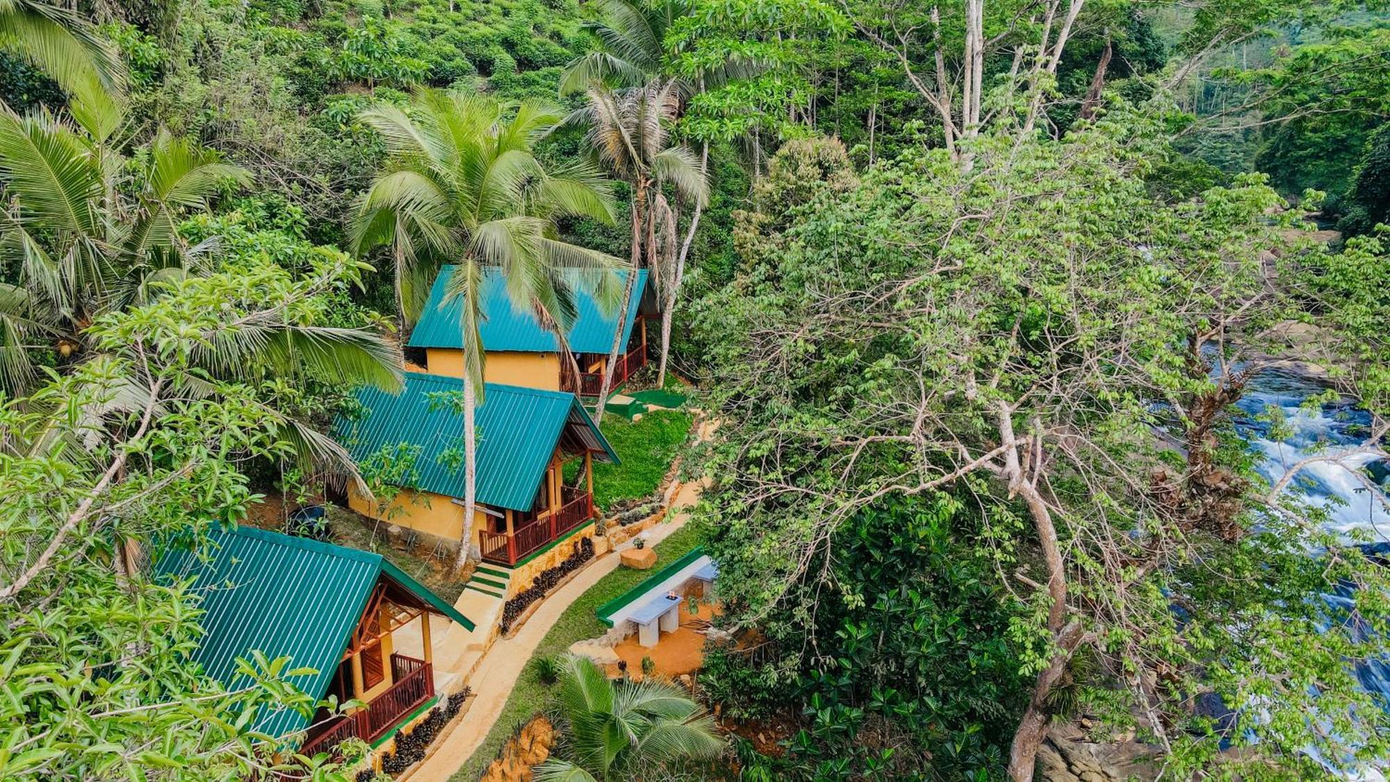 The Rainforest Hideaway Deniyaya Zewnętrze zdjęcie