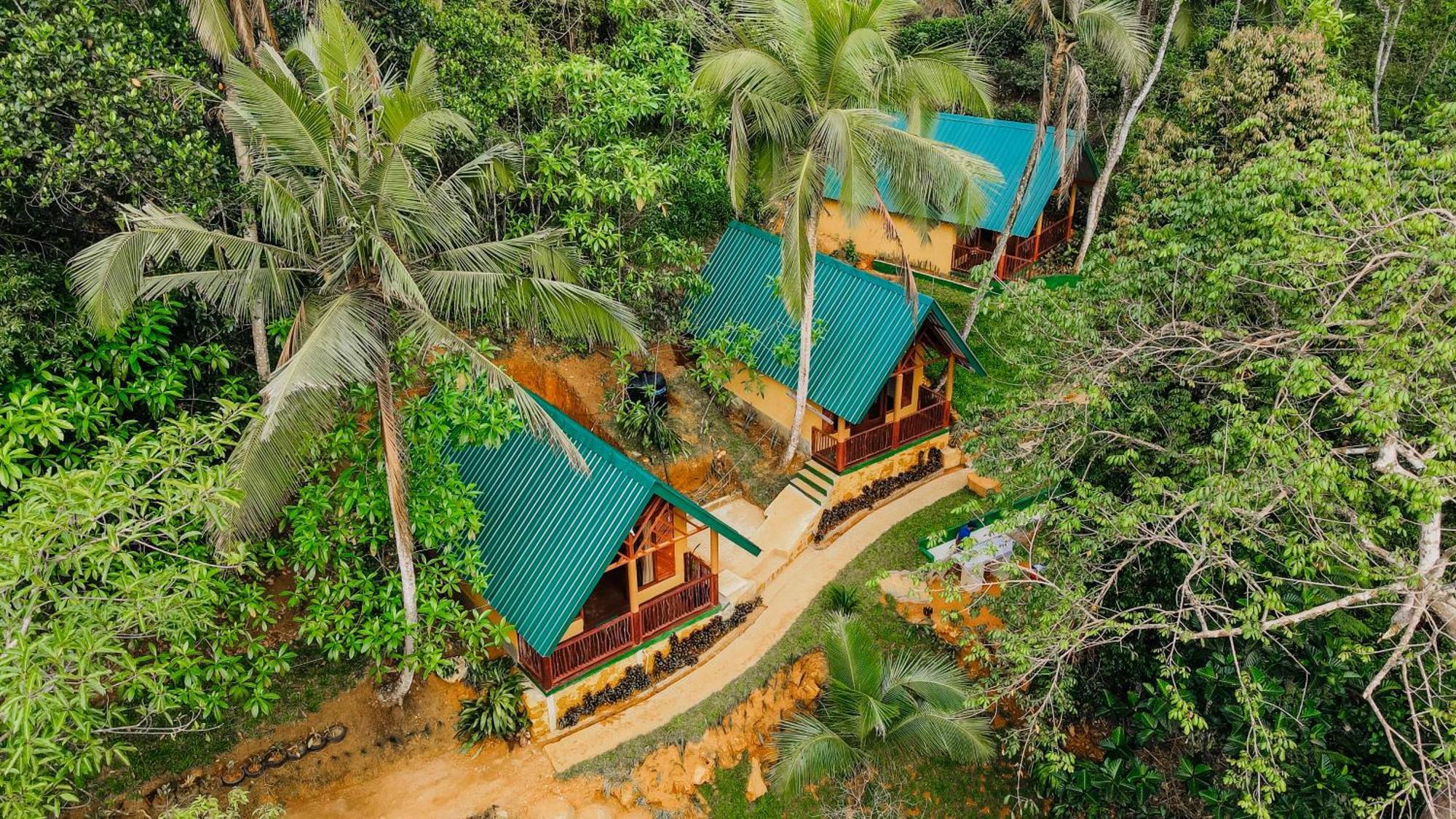 The Rainforest Hideaway Deniyaya Zewnętrze zdjęcie