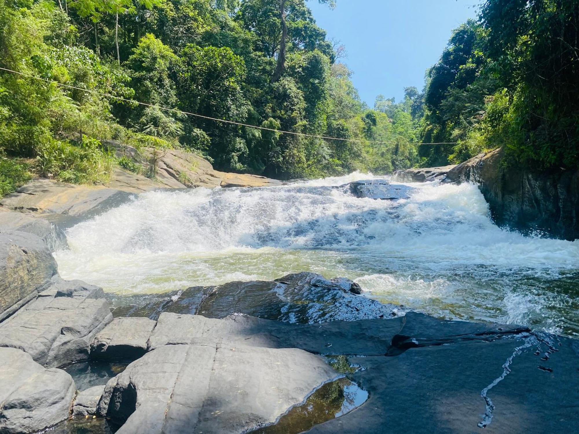 The Rainforest Hideaway Deniyaya Zewnętrze zdjęcie