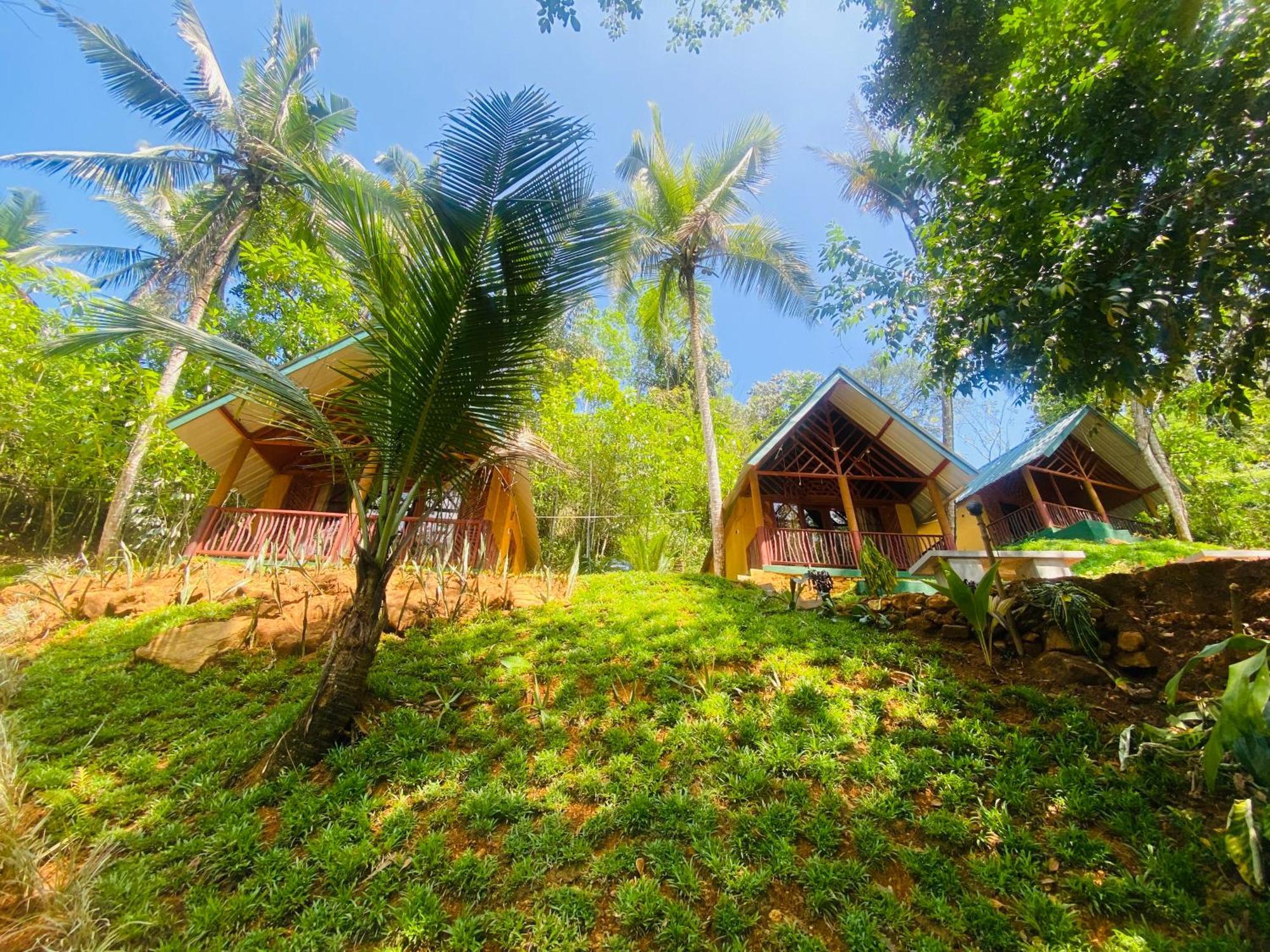 The Rainforest Hideaway Deniyaya Zewnętrze zdjęcie