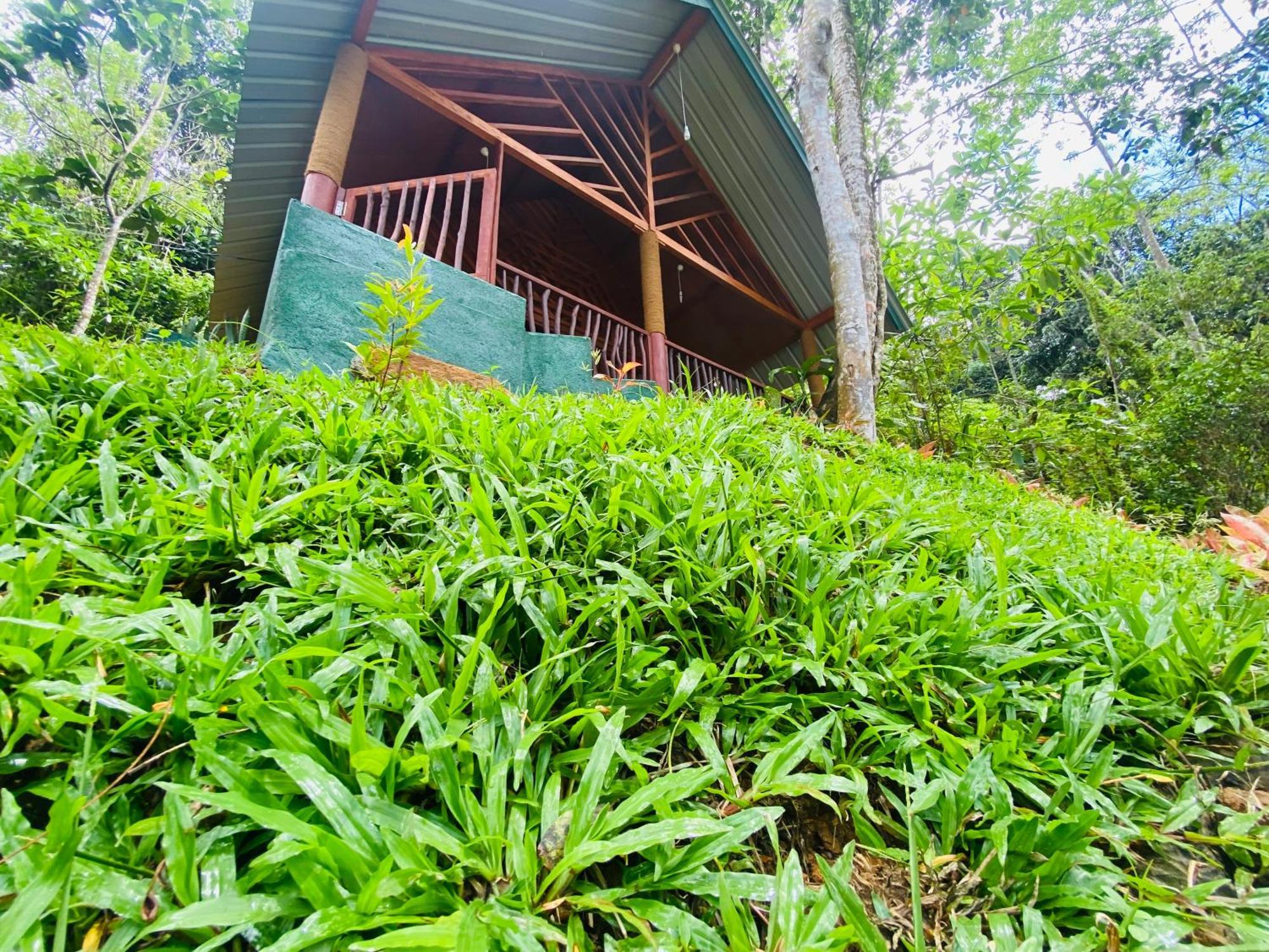 The Rainforest Hideaway Deniyaya Zewnętrze zdjęcie