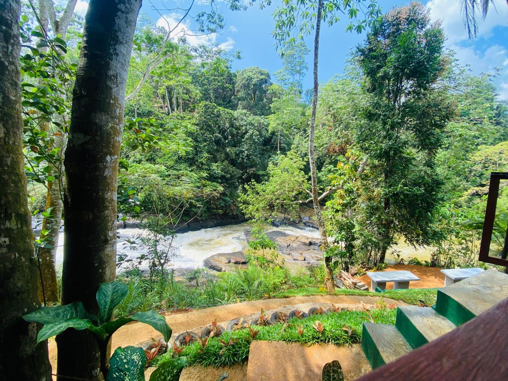 The Rainforest Hideaway Deniyaya Zewnętrze zdjęcie