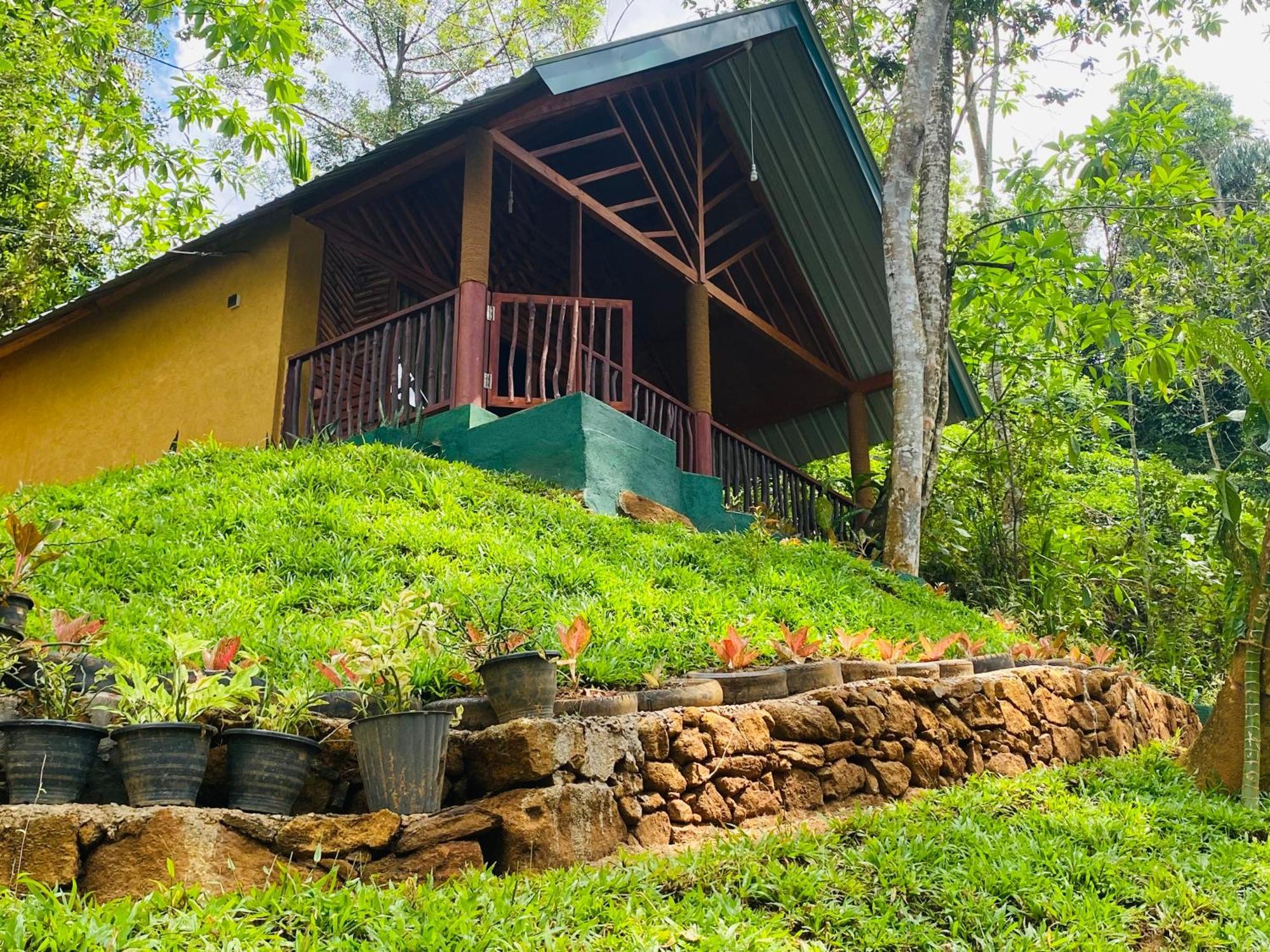 The Rainforest Hideaway Deniyaya Zewnętrze zdjęcie