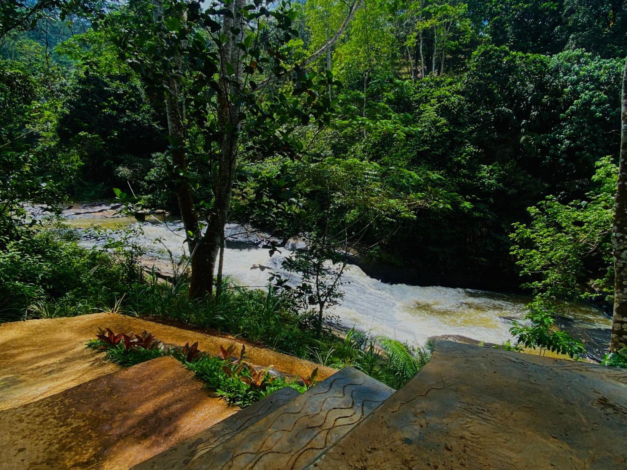 The Rainforest Hideaway Deniyaya Zewnętrze zdjęcie