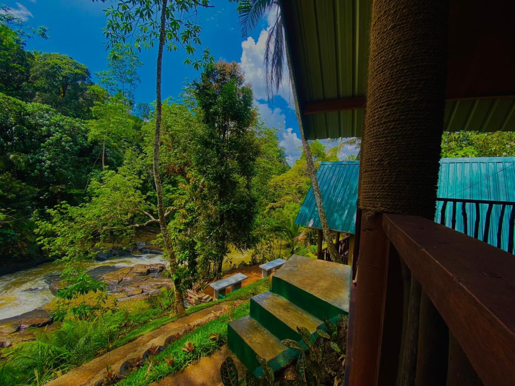 The Rainforest Hideaway Deniyaya Zewnętrze zdjęcie