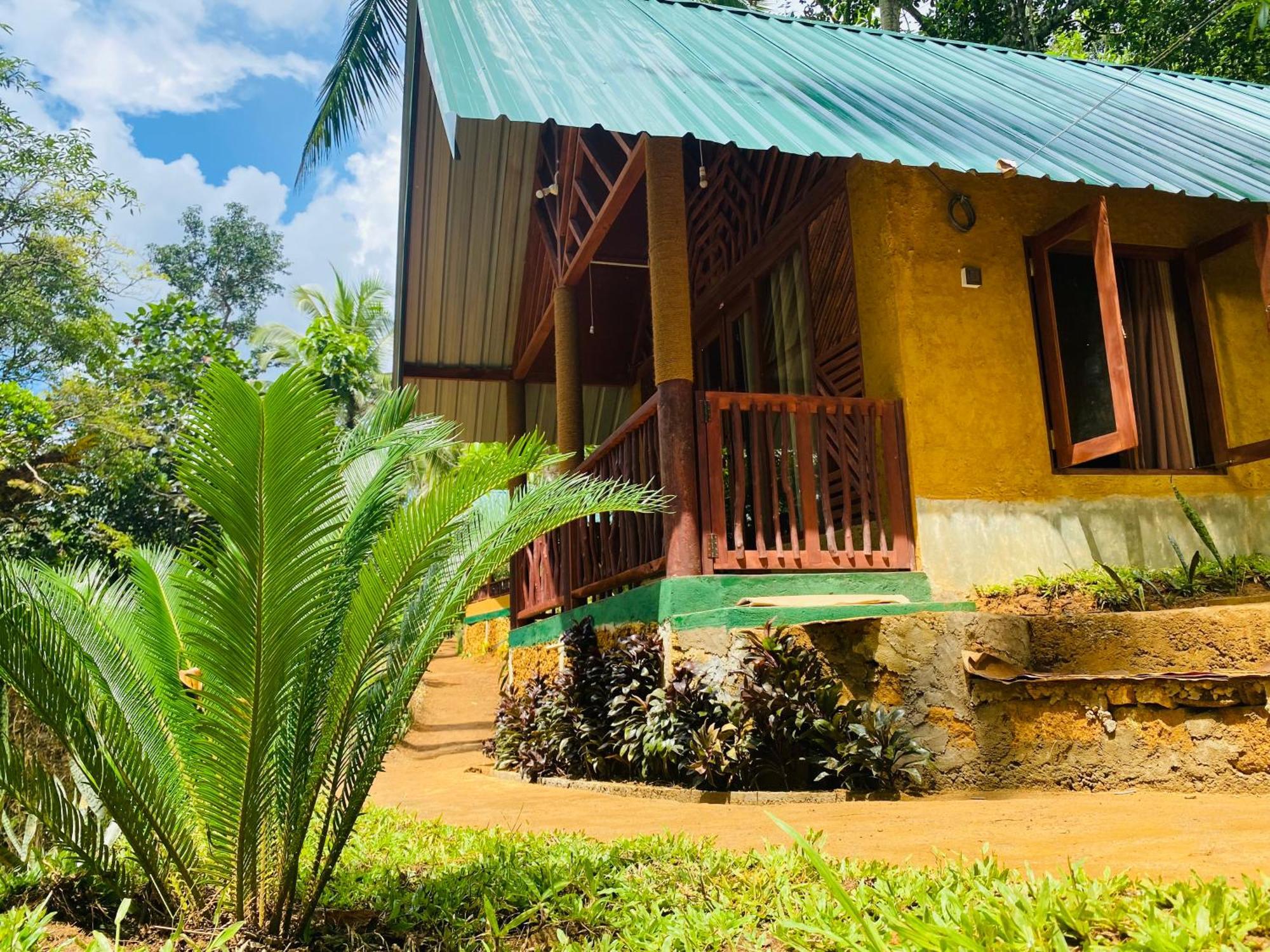 The Rainforest Hideaway Deniyaya Zewnętrze zdjęcie