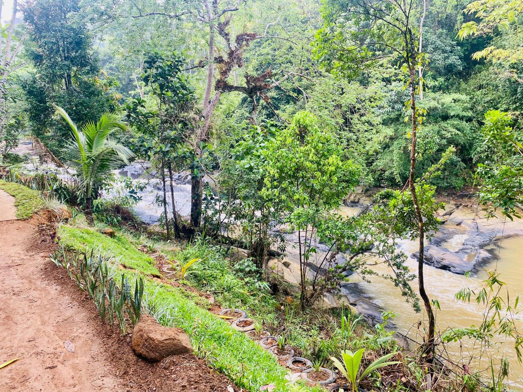 The Rainforest Hideaway Deniyaya Zewnętrze zdjęcie