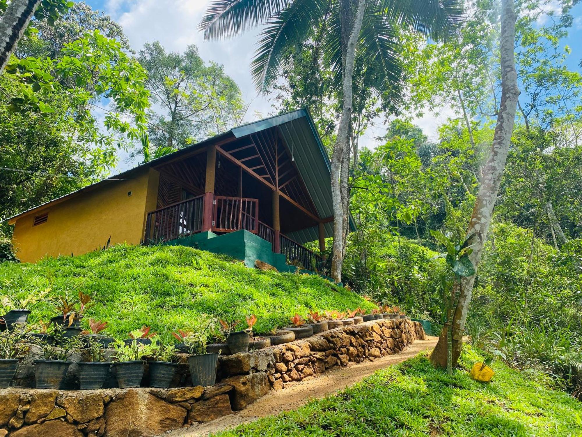 The Rainforest Hideaway Deniyaya Zewnętrze zdjęcie